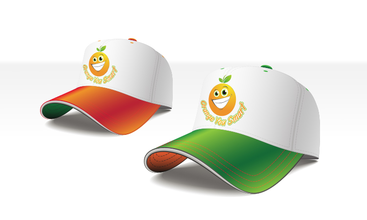 logo florida orange 04