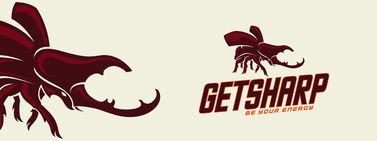 logo get sharp 02