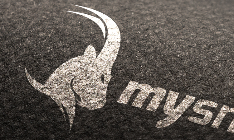 logo my snowboard 04