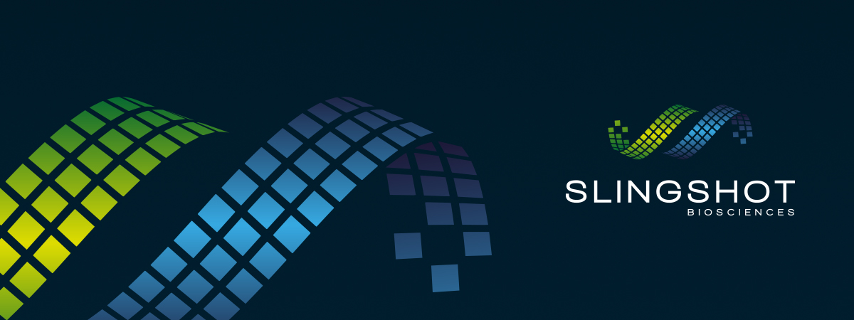 logo slingshot 02