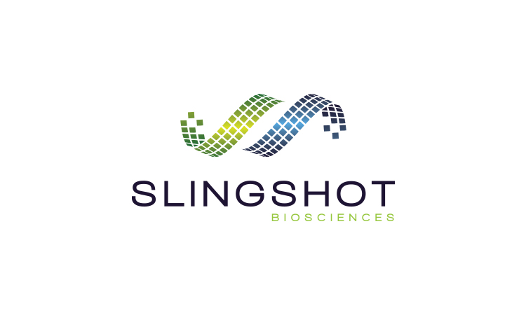 logo slingshot 04